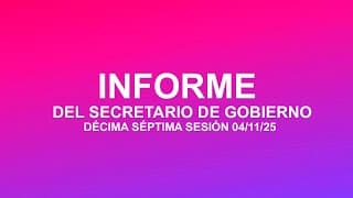 Informe del Secretario de Gobierno Ignacio Pallia